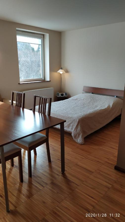 Zawoja1560 Apartamenty Przy Aptece Eksteriør billede